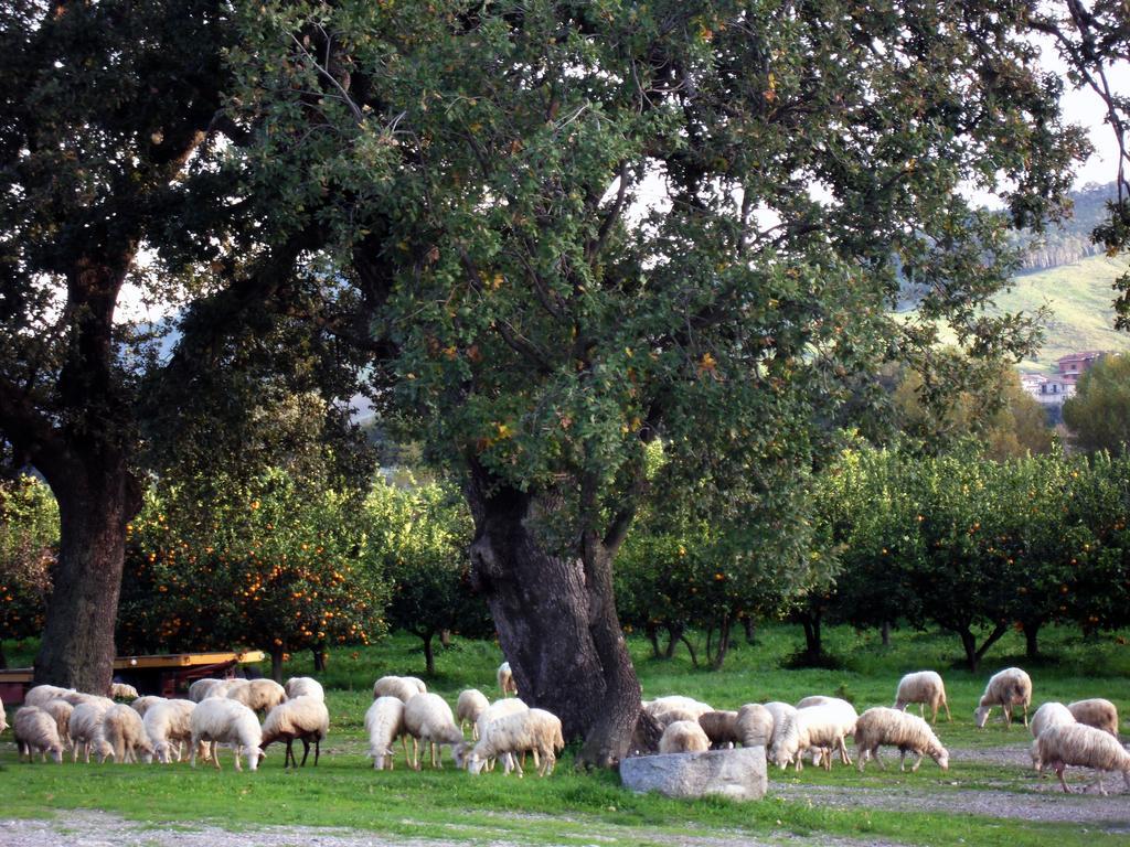 Barone Gr Macri Agriturismo Modi Джераче Экстерьер фото